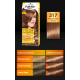 Palette Color Shampoo - szampon koloryzujący bez amoniaku, nr 317 Orzechowy Blond