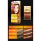 Palette Color Shampoo - ammonia-free color shampoo, no. 218 Shimmering Amber