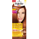 Palette Color Shampoo - ammonia-free color shampoo, no. 218 Shimmering Amber