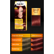 Palette Color Shampoo - ammonia-free coloring shampoo, no. 217 Mahogany