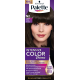 Palette Intensive Color Creme - coloring cream, N2 Dark Brown