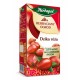 Tea Garden, Wild Rose - fruit and herbal tea, net weight: 2.82 oz (20 sachets x 0.14 oz)