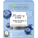 Bielenda BLUEBERRY C-TOX moisturizing and illuminating cream, capacity 40 g