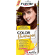 Palette Color Shampoo - szampon koloryzujący bez amoniaku, nr 236 Kasztan