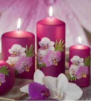 Orchid mat - słupek 50 x 100