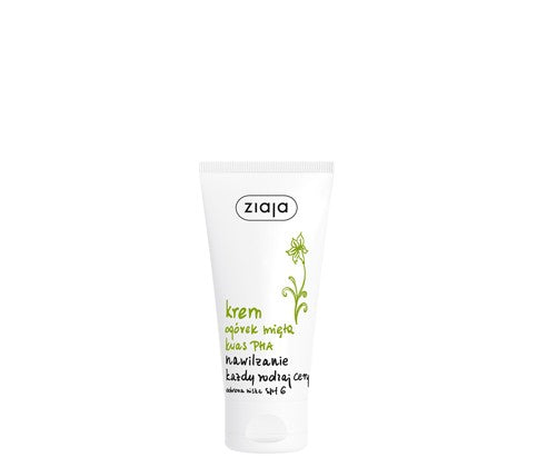 Moisturizing cream SPF6 cucumber and mint, 50 ml capacity.