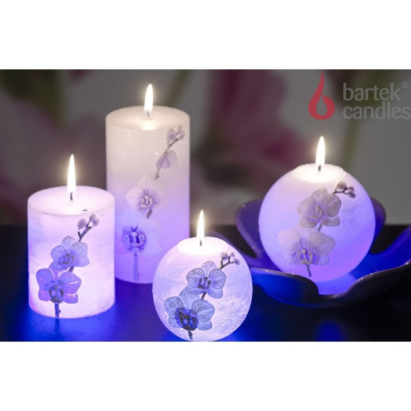 Orchid with diode - post 70x140