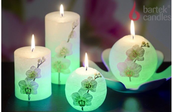 Orchid with diode - sphere 100